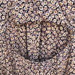 Flynn Skye  Floral Maxi Dress‎ Photo 4