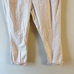 Anthropologie Pilcro and the Letterpress Blush Striped Cropped Pant Size 30 Photo 6