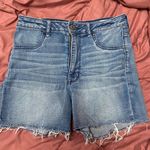 American Eagle Shorts Photo 0