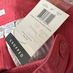 Emma James  Citrus Splashed Polished Casual‎ Cropped Pants Size 10 NWT Photo 6