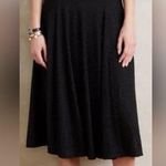 Anthropologie MAEVE Berkely Swiss Dot Miri Skirt Size Small Photo 0