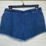 Aerie Shorts Photo 3