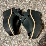 Antelope  Wedges Photo 1