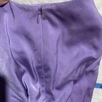 Greylin  New with Tags Purple‎ Skirt Women's Size Medium Photo 5