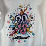Disney  Parks 2013 Sweatshirt Womens XL junior Fantasia Long Sleeve Hoodie Jacket Photo 5