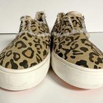 Rocket Dog  Afina Sneaker Photo 6