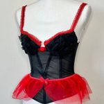 Victoria's Secret Chantal Thomass Bustier Corset Photo 0