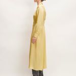 Everlane NWT Hammered Satin Shirt Dress Raffia Size 6 Photo 5