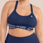 Oceans Apart Dark Navy Beauty Bra Large Blue Photo 0