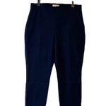 Everlane NWOT  Navy Blue Side Zip Skinny Cotton Pant Curvy fit short Size 14 Photo 2