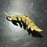Vintage Signed 1961 Coro 3" Textured Large Gold Tone Leaf Brooch Pin Classic Photo 1