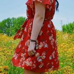 Maurice's Sundress Photo 0