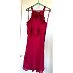 Le chateau  Raspberry Floral Appliqué Halter Dress Photo 3