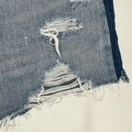 Pistola Distressed Raw Hem Cutoff Shorts with Contrast Navy Side Stripe size 29 Photo 3