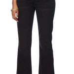 DG2 Diane Gilman Up Photo 0