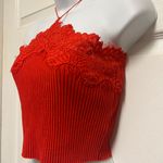 ZARA Red Intense Lace Ribbed Cropped Top Photo 2