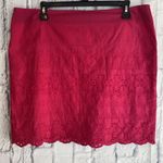 G.H. Bass & Co. NWT Pink Eyelet Cottagecore Mini Skirt Size 12 Photo 2