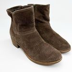 UGG Like New Womens 7.5 Brown  Darling Suede Perf Zip Ankle Booties Photo 1