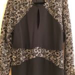 Venus Black & Gold Dress Photo 2