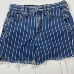American Eagle  Pinstripe Cutoff Shorts Photo 3