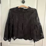 Bishop and Young  PALERMO FLARE SLEEVE TOP Sz M Sheer Elegant Party Holiday Photo 2