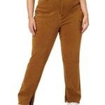 Good American  Good Boy Carpenter Pants Jeans Y2K Brown Plus Size 16 x 32 Photo 0