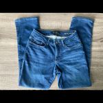 Lee  Straight Leg Curvy Fit Jeans Size 6 Short Photo 1