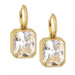 NWOT Roxanne assoulin earrings Photo 0