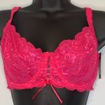 Frederick's of Hollywood  Pink Lace Bra Photo 0