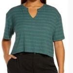 BP  Split‎ Neck Ribbed Short Sleeve Crop Top in Green Trekking Bella Stripe Photo 0