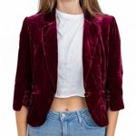 Loft Burgundy Velvet Blazer – Cranberry Wine, Size 16, Rayon/Silk Blend Photo 0