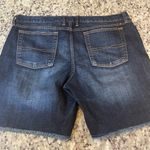 Lucky Brand Dark Blue Jean Shorts Photo 5