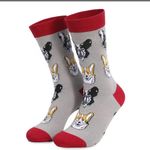 New Dog Socks “I Can’t Right Now The Dog is on My Lap” Photo 3