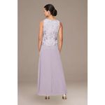 Alex Evenings long lace a-line dress with illusion jacket Photo 1