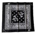 Rag and Bone 🆕 NWT Limited Edition 46 Bandana (RB-2) Photo 1