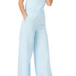 Ann Taylor NEW Linen Blend Wide Leg Palazzo Pant Blue Aqua Crystal Large Petite Photo 1