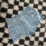 BDG  Women's Blue and White Shorts Photo 2