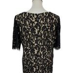 Katherine Kelly Formal Dress 15 Black Lace Midi Short Sleeve Cocktail Size 14 Photo 4