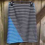 J.Crew NWOT  skirt Photo 2