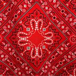 Harvé Benard Harve Benard Vintage Western Bandana Midi Skirt. Size 6. Photo 3