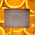 Coach Signature Wallet with Front Snap and Chunky Decorative Buckle Photo 7