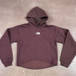 The North Face women's Evolution Hi Lo Hoodie IN COAL BROWN Photo 0