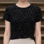 Ann Taylor 90s Vintage  Black Burnout Velvet Floral Top Whimsigoth Dark Romantic Photo 0