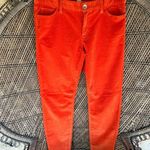 Banana Republic  Burnt Orange Cordaroy Pants Photo 0