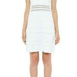 Ted Baker ππ Mint Scallop Ribbed Knit Dress Photo 5