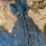 FINAL MARKDOWN HIPS & Curves Garter Belt (1X) Photo 1