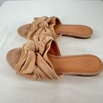Tory Burch  Annabelle Bow Suede Slide Sandal in Tan Size 6.5‎ Photo 5