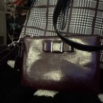 Coach  Dome Purse and Matching Wristlet Photo 2