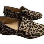 Clarks Pure Viola Leopard Print Slip On Shoe Women's Size US 7.5M Calf Hair Photo 0