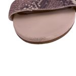 DOLCE VITA Beige and Faux Snake Tie Front Cage Gladiator Sandals Size 8.5 Flats Gray Photo 3